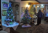 Trees displayed in the Three Bishops PH in Brighstone