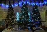 Brighstone Christmas Tree Festival by Paul Bradley