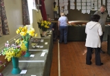 Brighstone Horticultural Society Spring Show