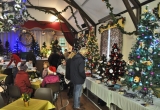 2014 BRIGHSTONE CHRISTMAS TREE FESTIVAL AT THE WILBERFORCE HALL.