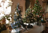 Mottistone Church Trees _ Brighstone Christmas Tree Festival