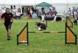 The Dog Display team entertains the crowds.