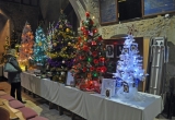 Trees to admire in St Marys Church Brighstone