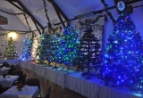 Trees sparkle in the Wilberforce Hall