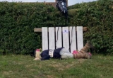 BRIGHSTONE SCARECROW FESTIVAL