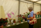 Brighstone Summer Horticultural Show 2010 –  Photographs by Sue Chorley