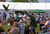 Brighstone Summer Horticultural Show 2010 –  Photographs by Sue Chorley