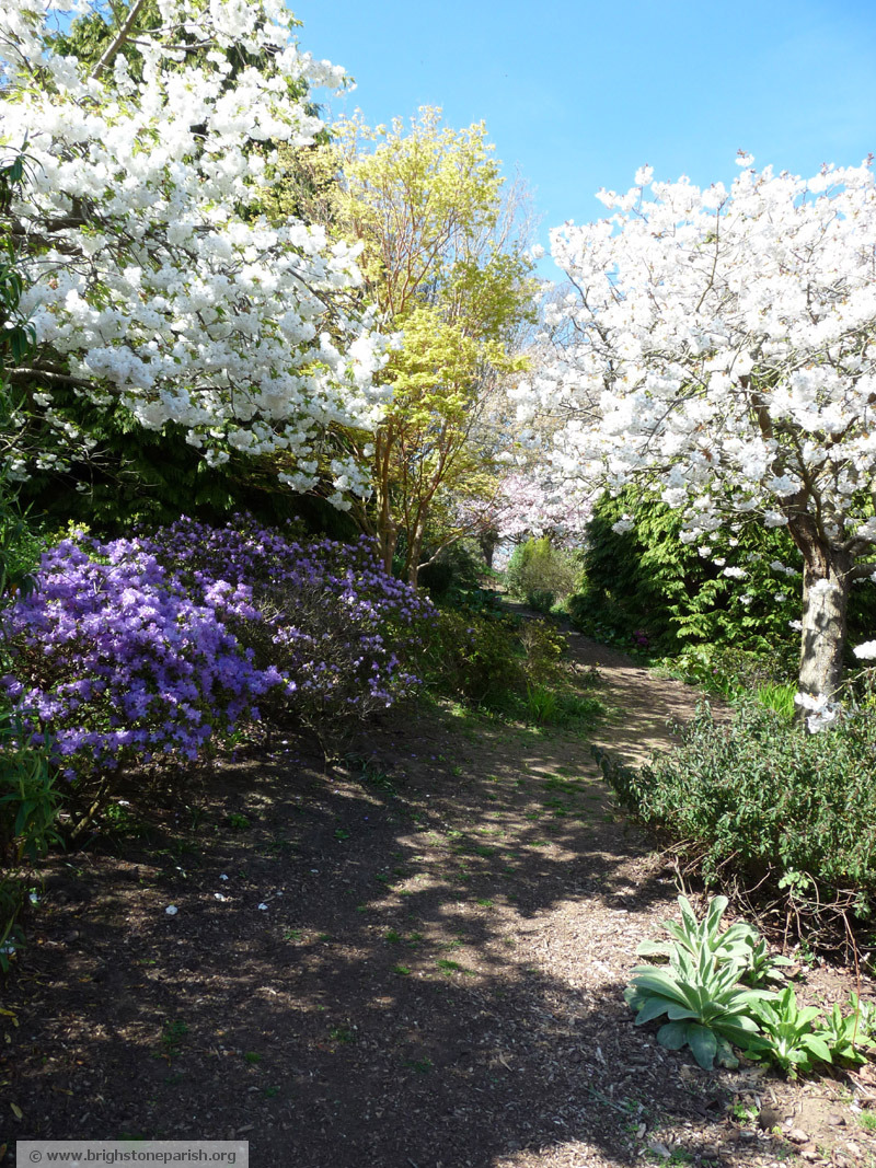 Photo of Mottistone Manor garden